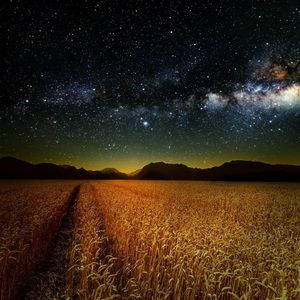 Meet your Posher, Deanne